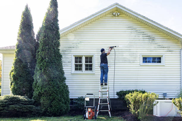 Pressure Washing Contractors in Timberville, VA